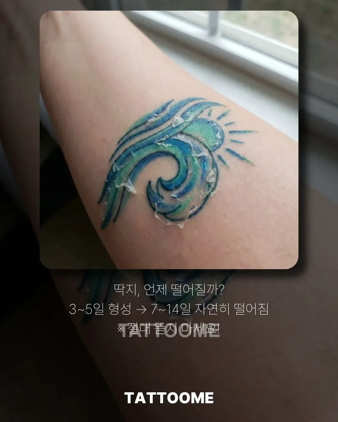 타투 딱지와 각질이 생기는 단계