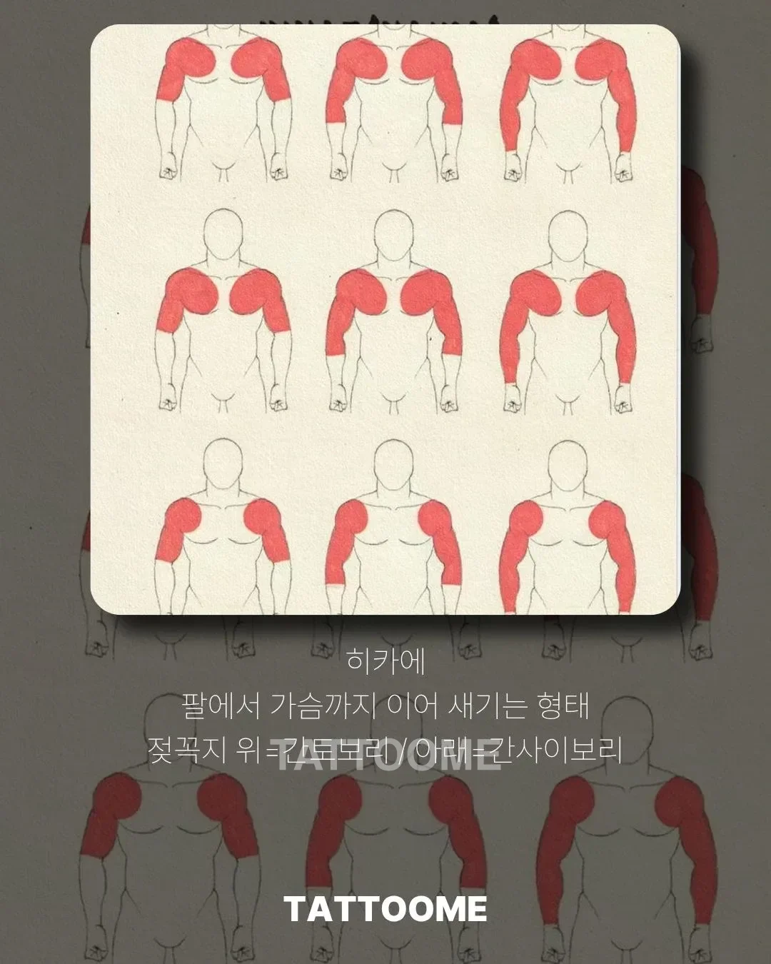 이레즈미 히카에 형태 — 팔에서 가슴으로 이어지는 구성
