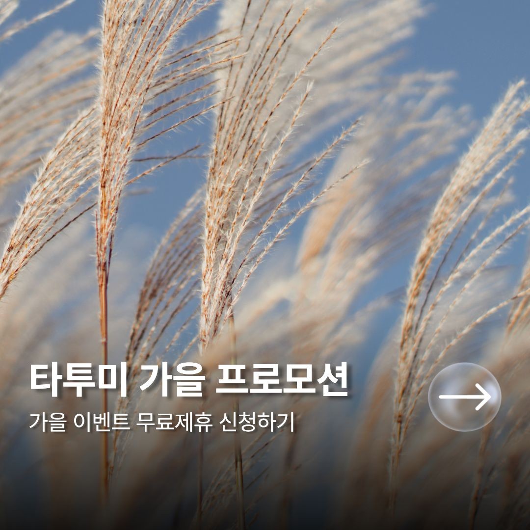 타투미 가을 프로모션