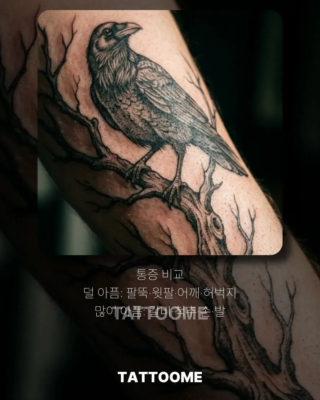 통증이 적은 타투 부위와 아픈 부위