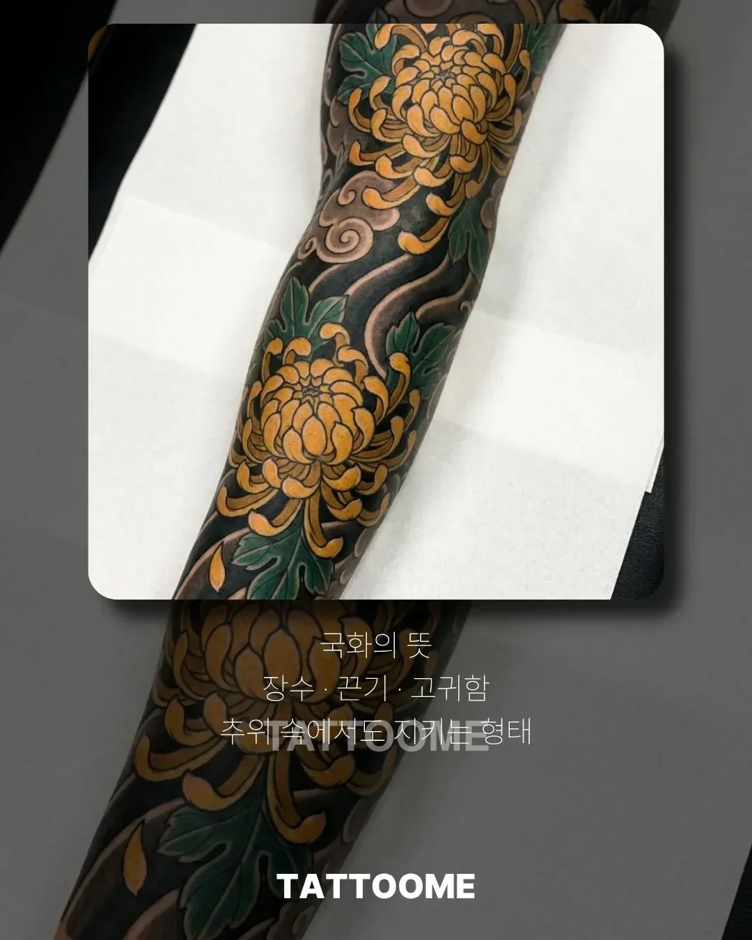 장수와 끈기를 상징하는 국화