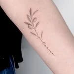 tato_odam