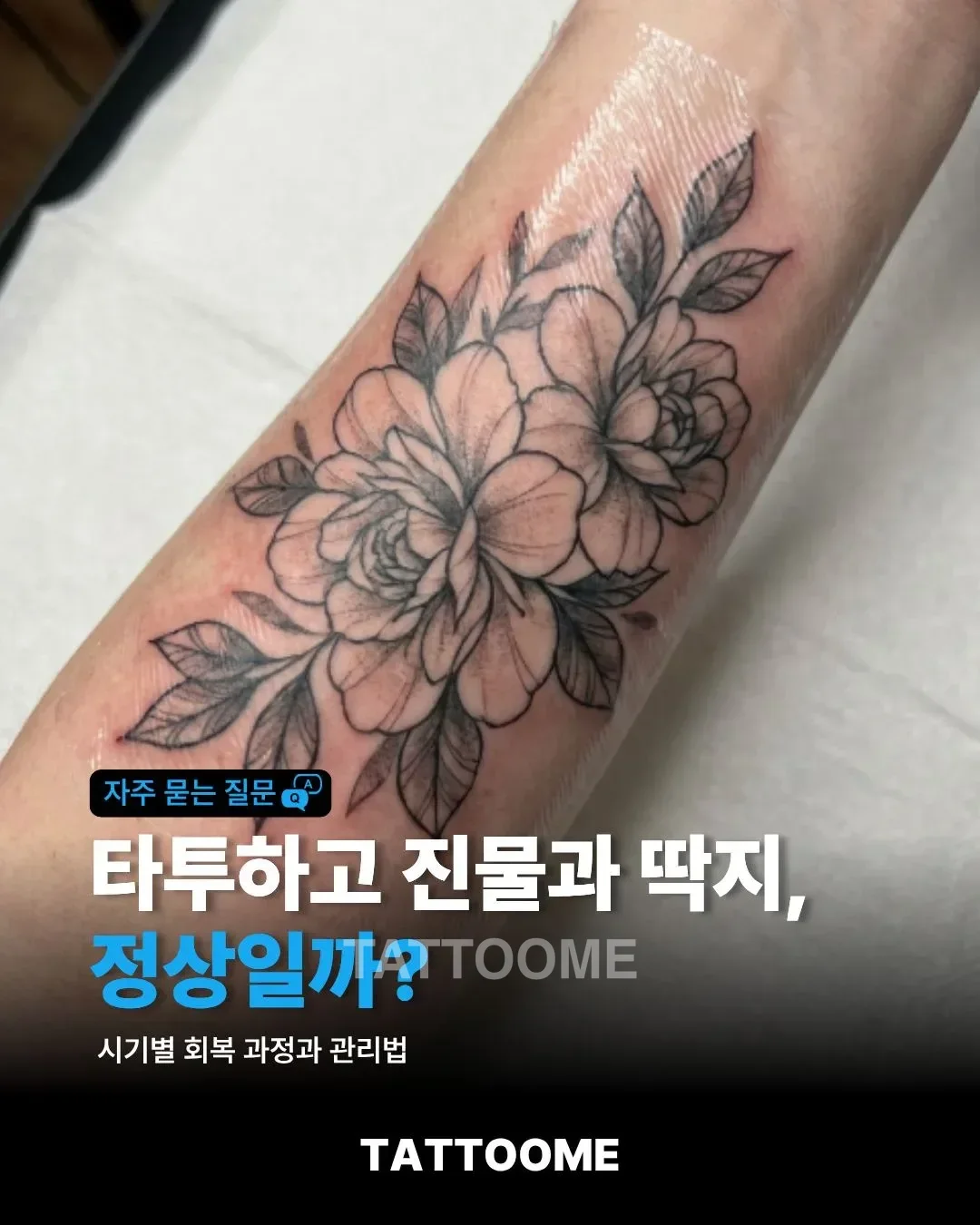타투 진물과 딱지 회복 과정을 설명하는 대표 이미지