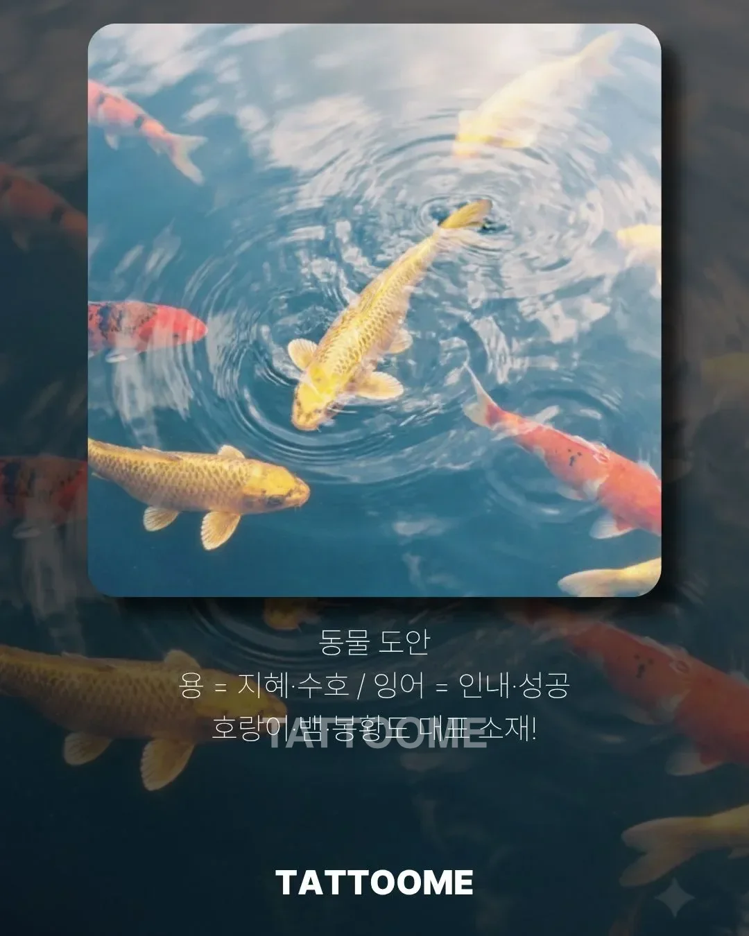 이레즈미 대표 동물 도안 용과 잉어