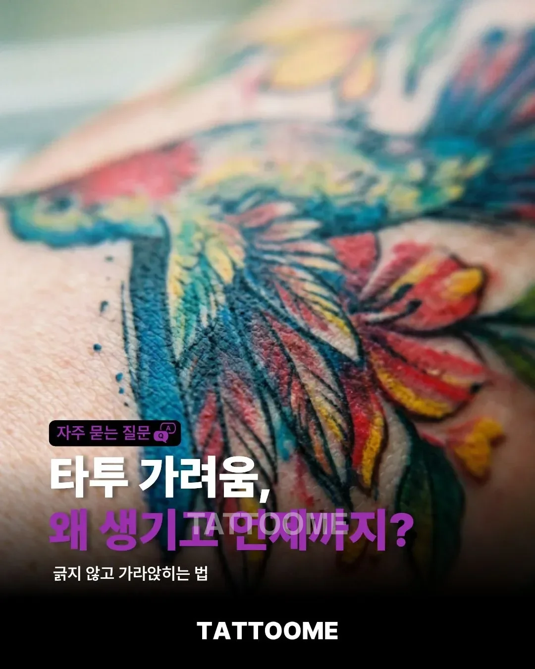 타투 가려움 원인과 완화법을 설명하는 대표 이미지