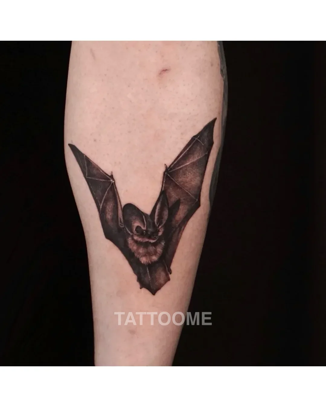 블랙워크 박쥐 - laya_tattooer