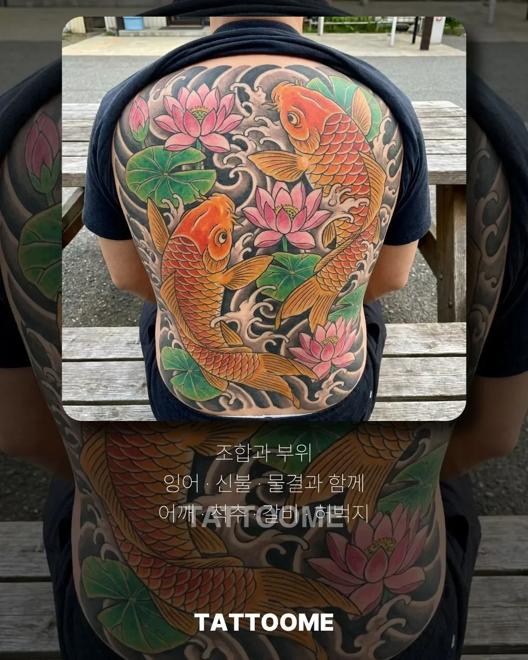 연꽃과 잉어 조합, 어울리는 부위