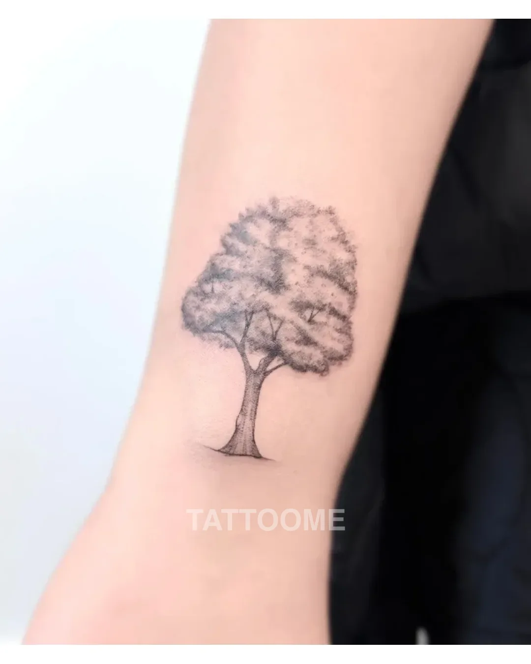 감성타투 나무 - muhwa_tattooer
