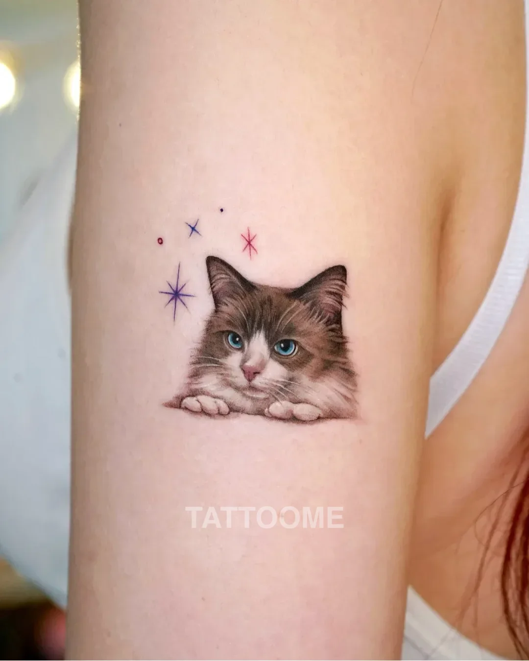 감성타투 고양이3 - tattooist_suf