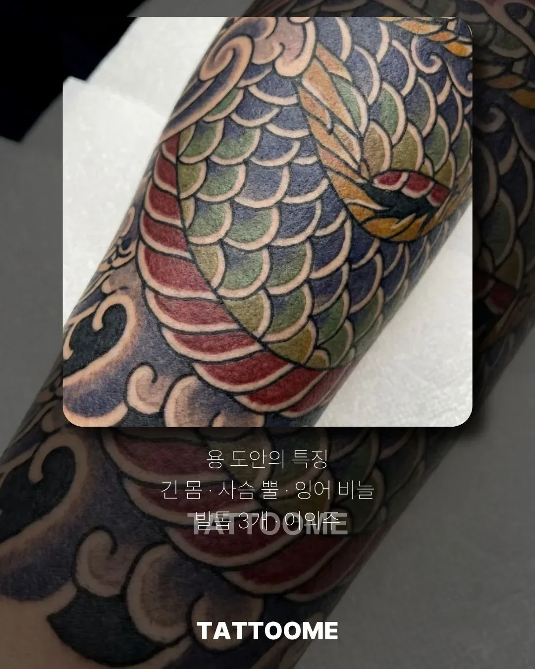 일본 용 도안의 생김새와 여의주