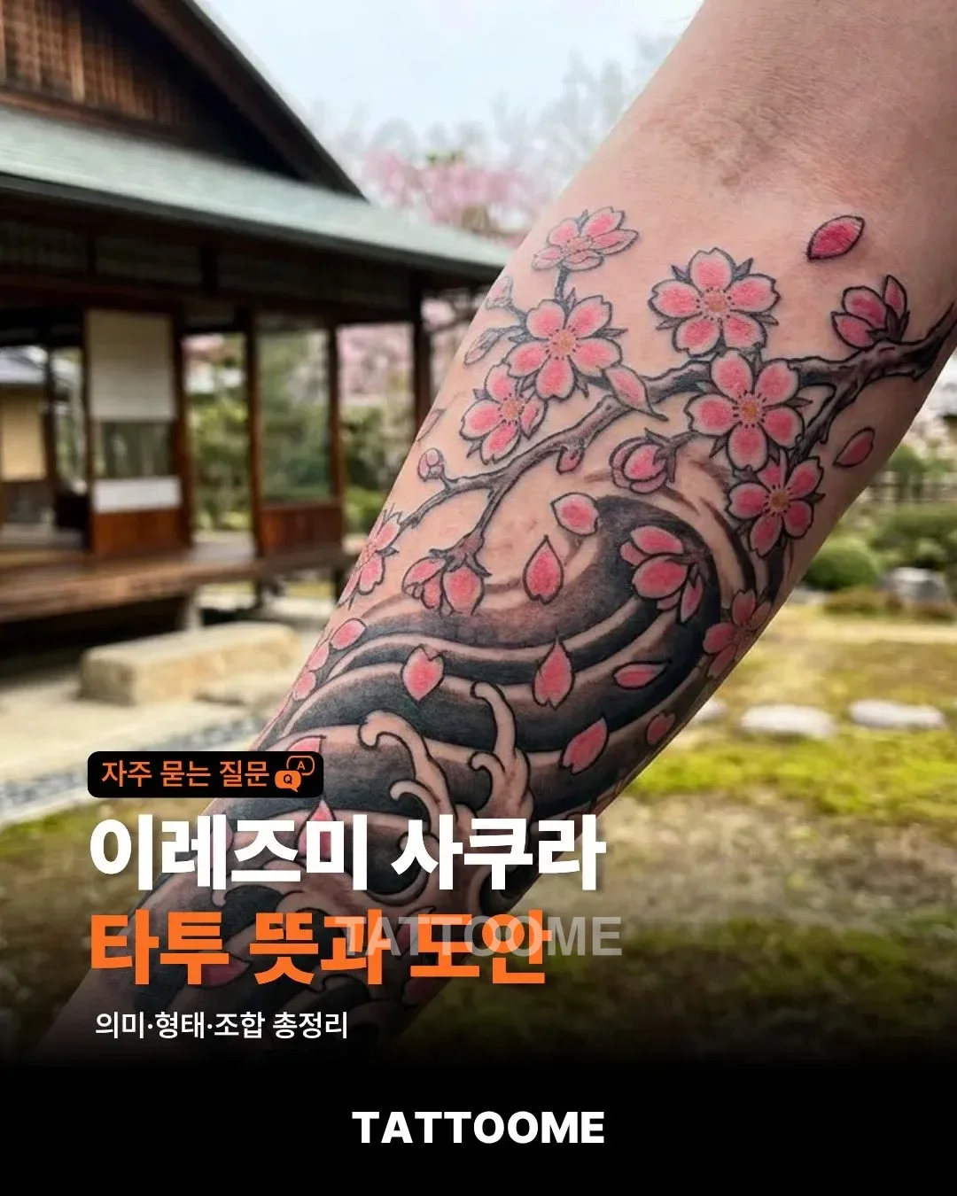 이레즈미 사쿠라 타투의 뜻과 도안을 설명하는 대표 이미지