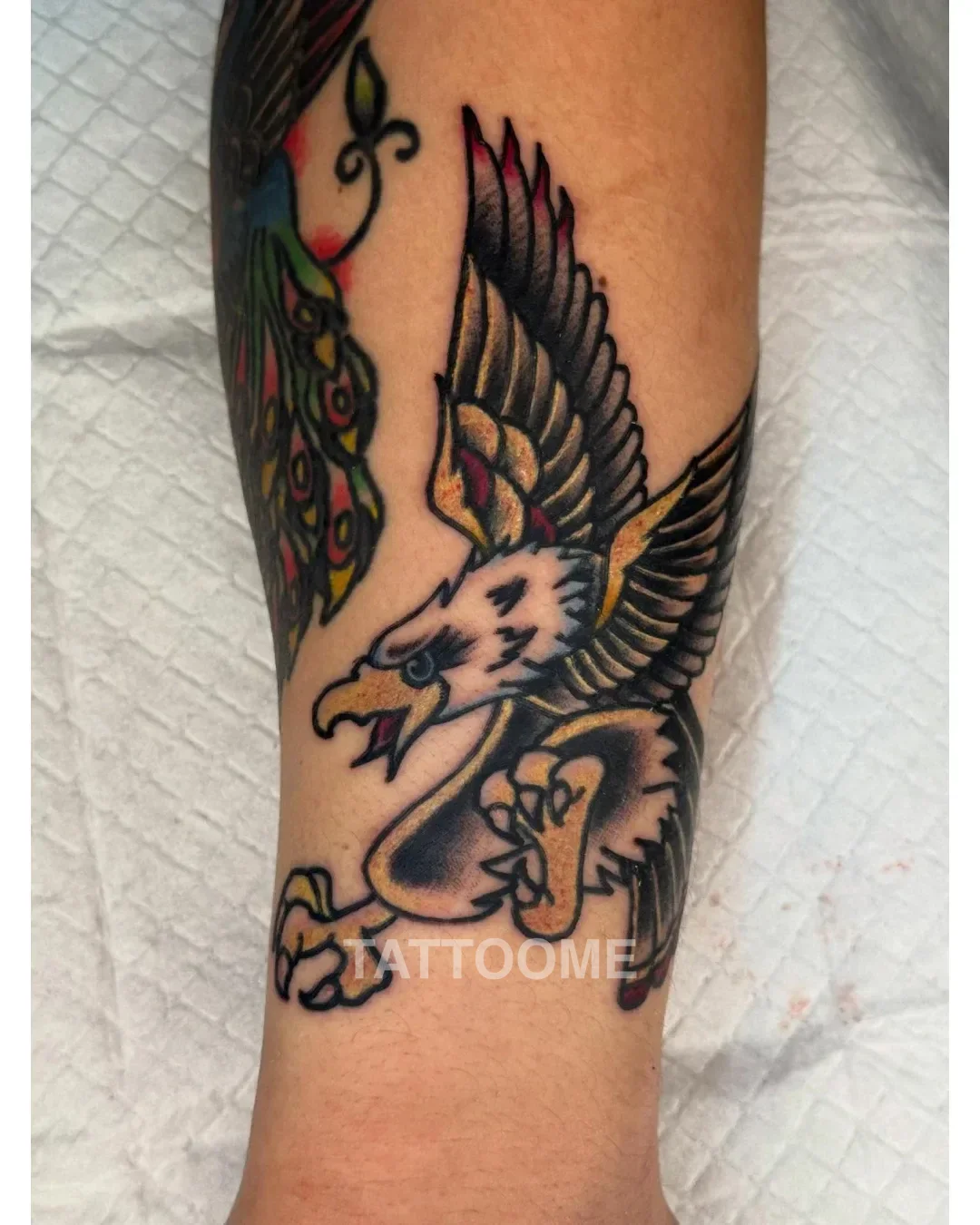 올드스쿨 독수리 - tattooer_aruru