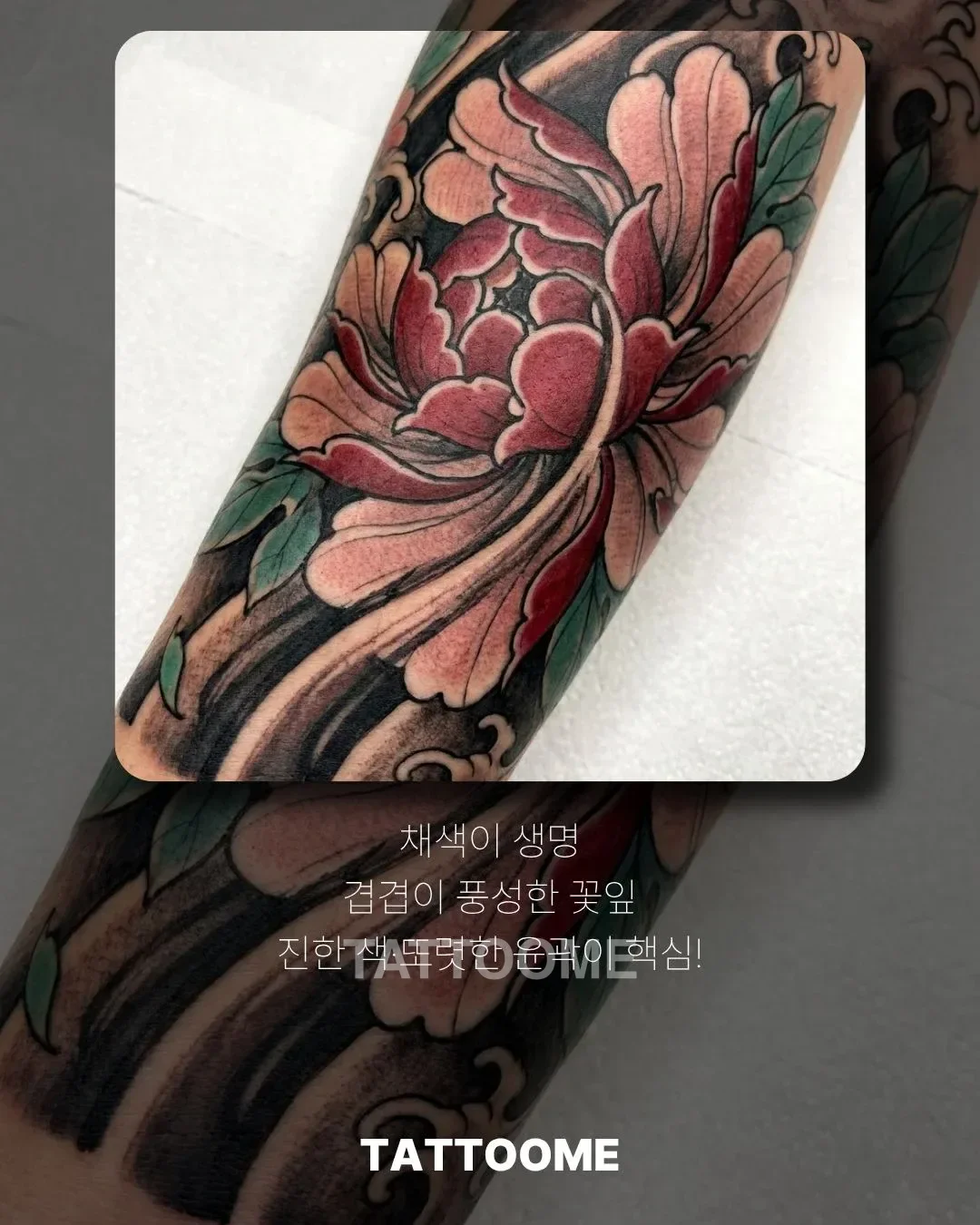 겹꽃잎이 풍성한 모란 도안의 채색