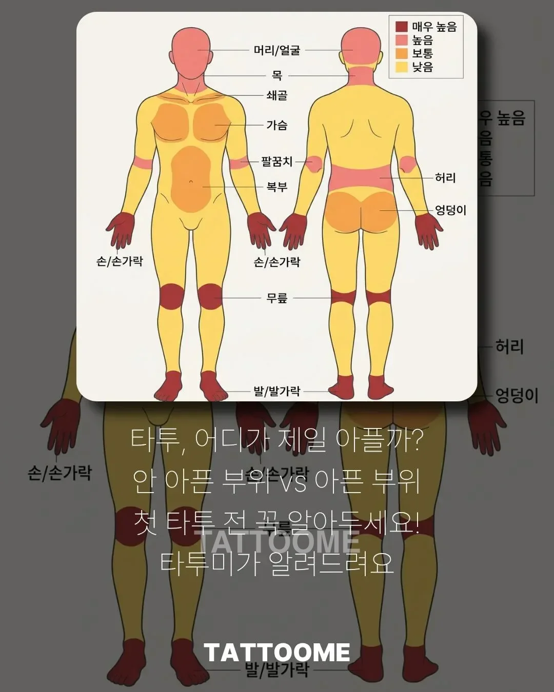 타투 통증 부위 순위를 보여주는 신체 통증 지도 인포그래픽