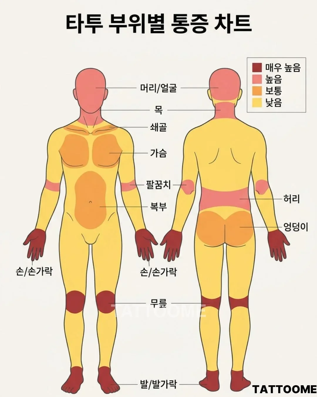 타투 통증 부위 순위를 보여주는 신체 통증 지도 인포그래픽