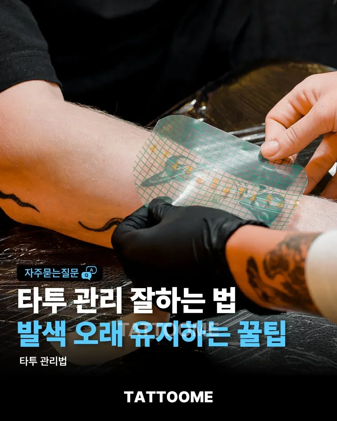 타투 관리 가이드 대표(썸네일) 이미지