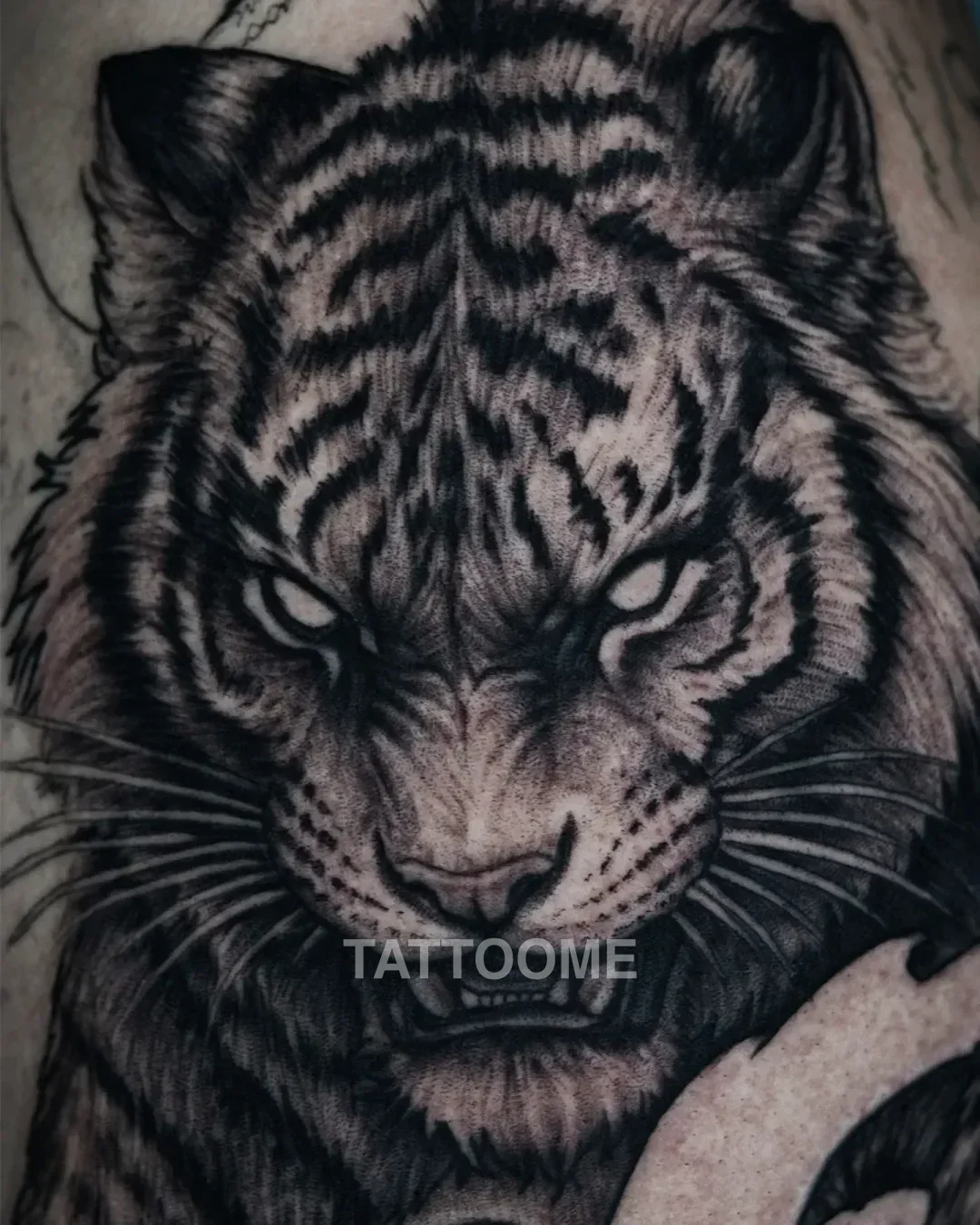블랙앤그레이 호랑이1 - tattooer__u