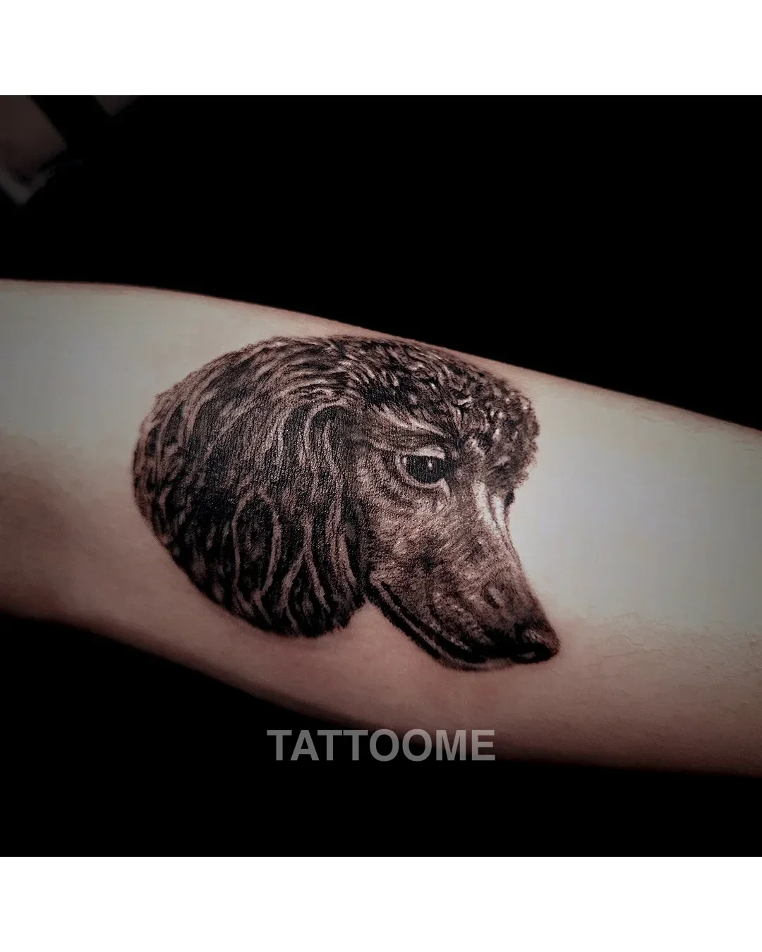 블랙앤그레이 반려견 - chedo_tattooism 8