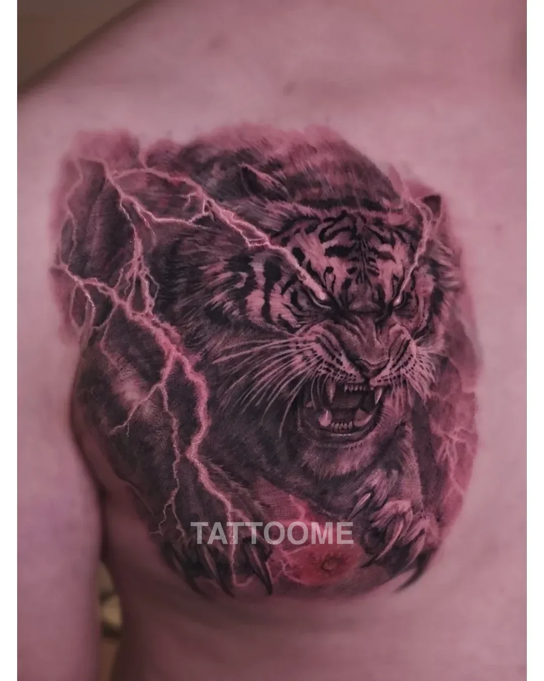 블랙앤그레이 호랑이 - huey__tattoo 5