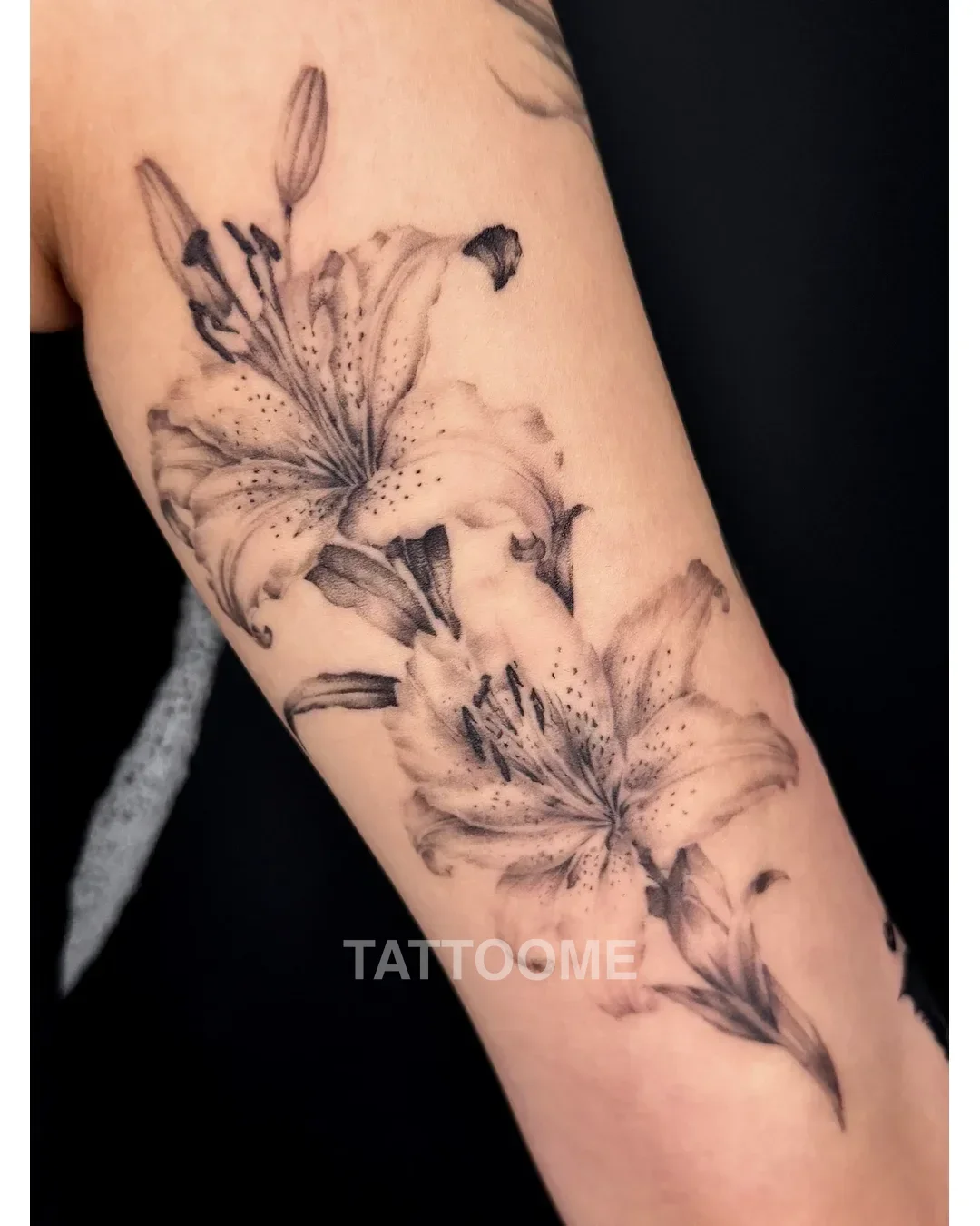 부천타투 백합 꽃 리얼리즘 블랙앤그레이 - kiel.tattoo