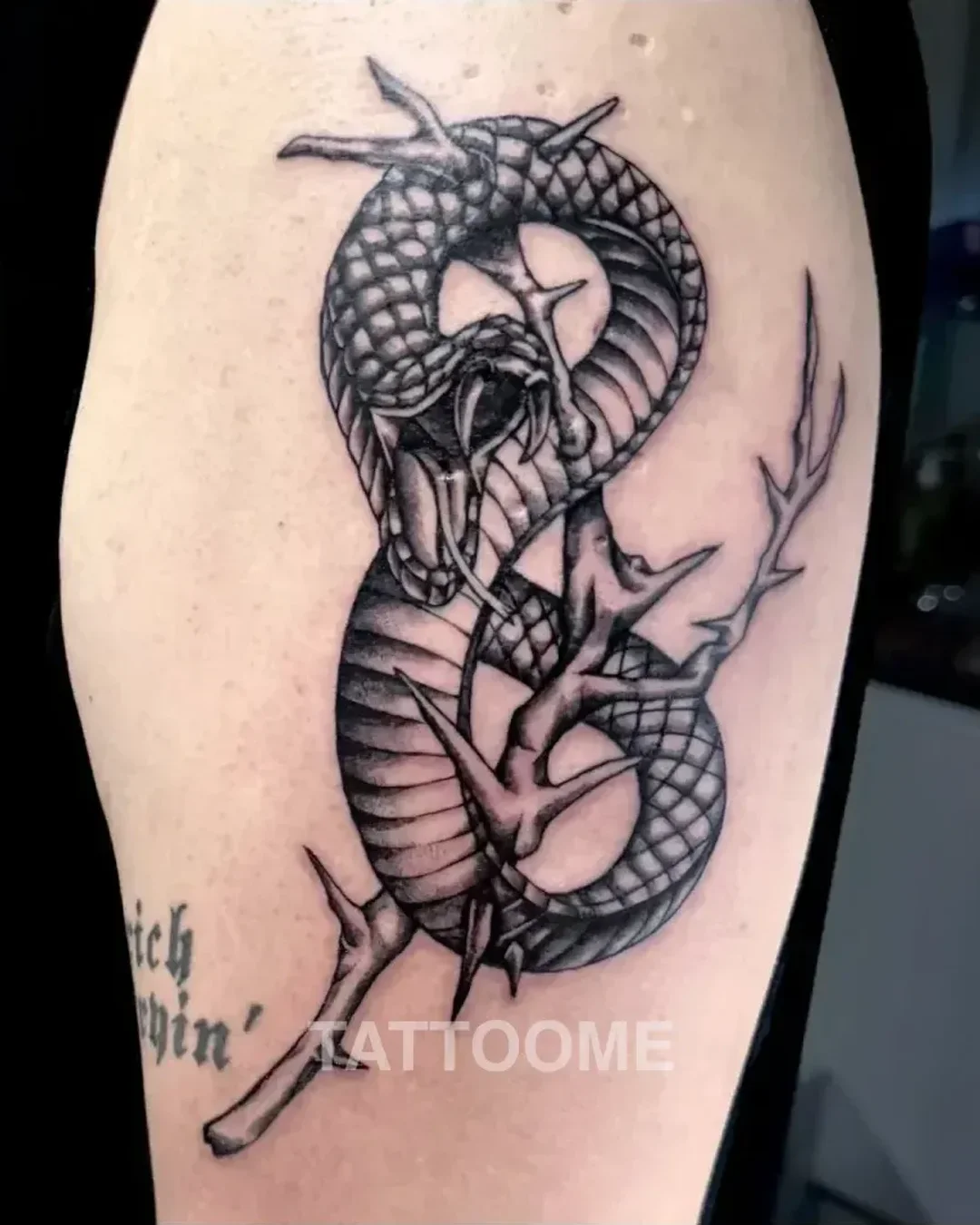 bancsi_tt 작업물 14