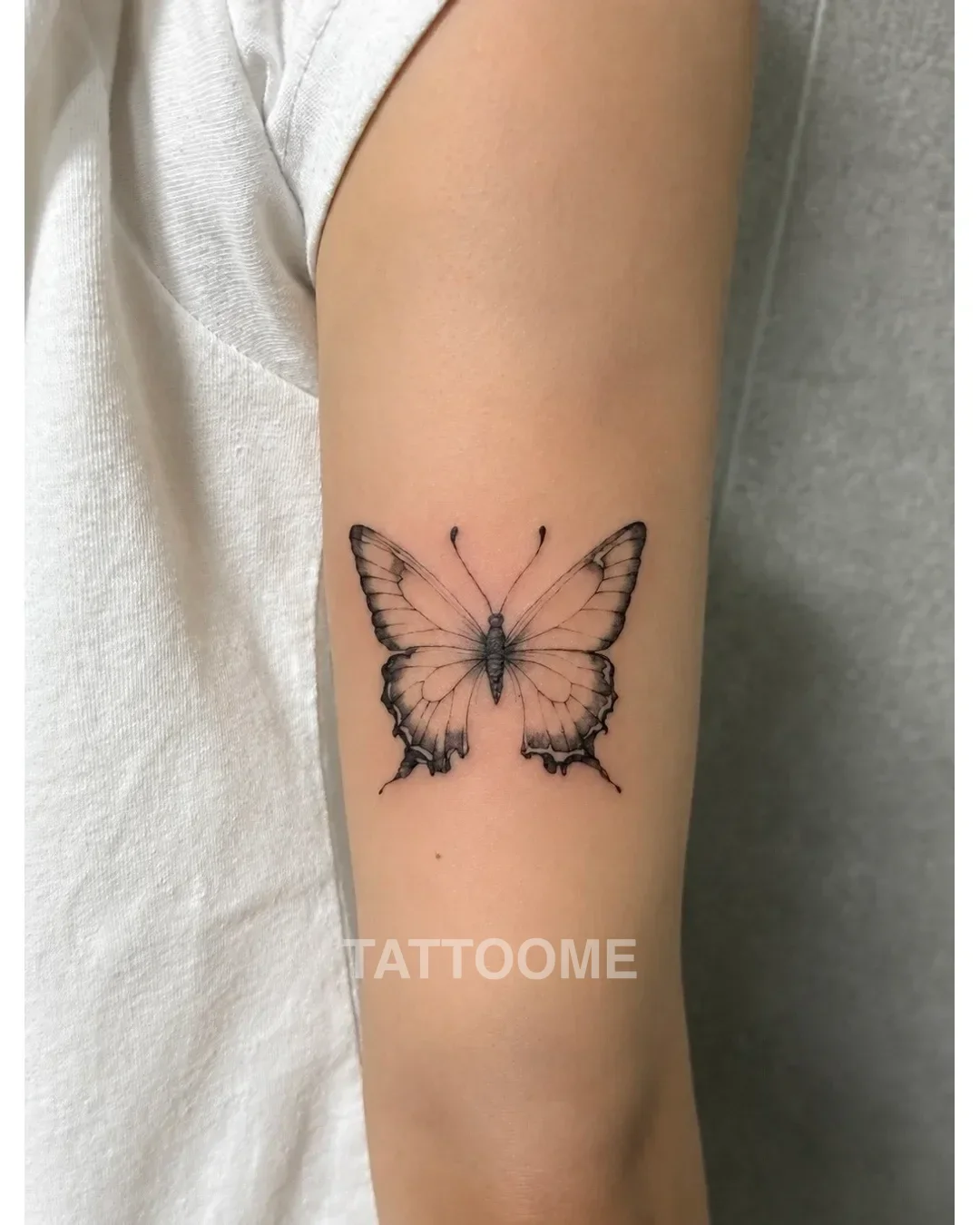 블랙워크 타비 - teddy_.tattoo