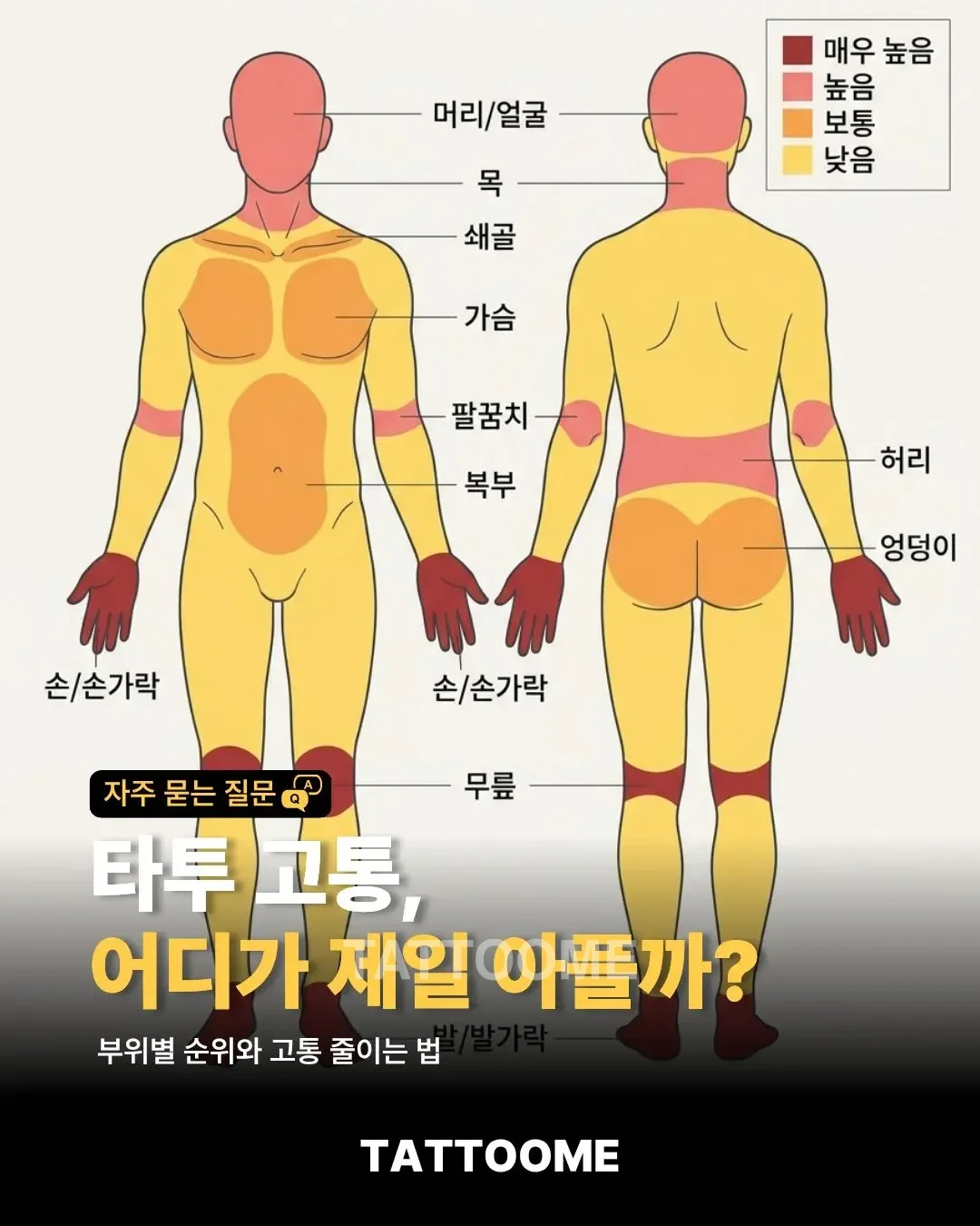 타투 고통 부위별 순위를 설명하는 대표 이미지
