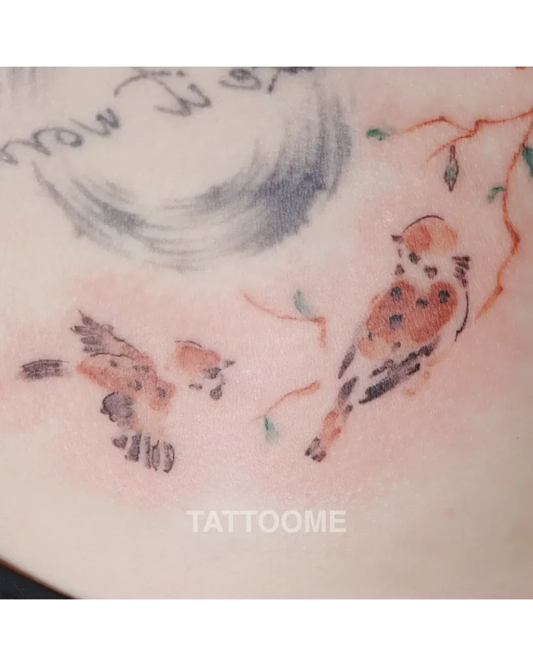 감성타투 참새 - tattooist_jinha