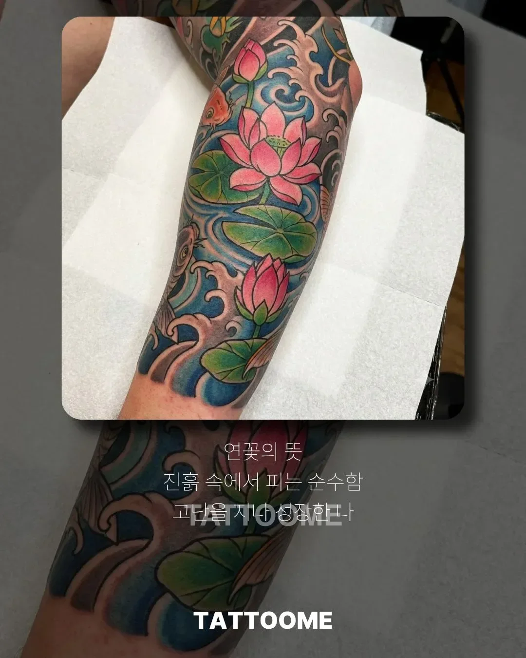 진흙 속에서 피어나는 연꽃의 의미