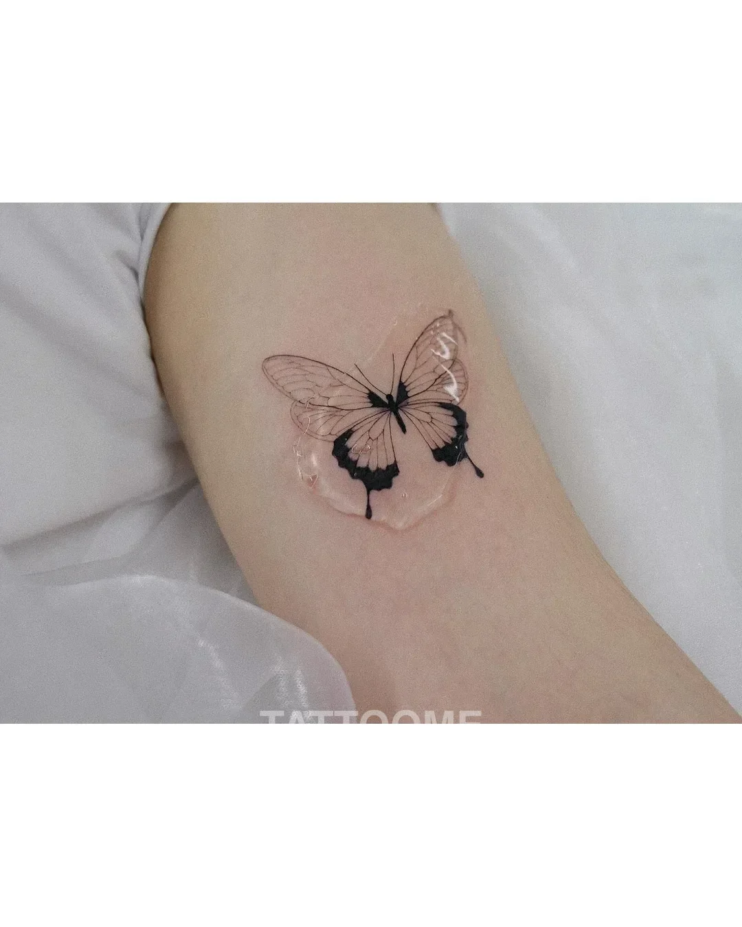 감성타투 나비 - bloom_tattooer 1