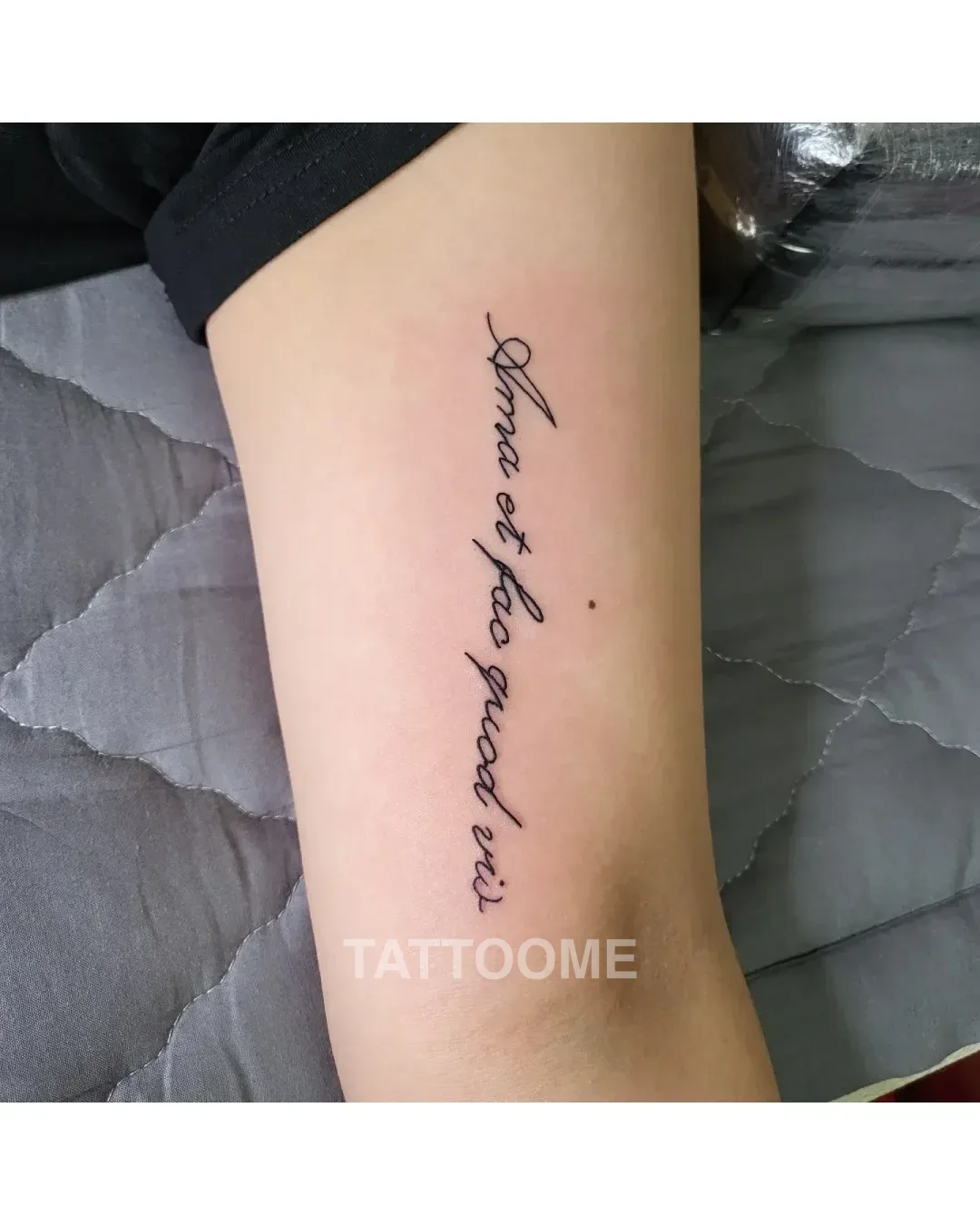 레터링 팔뚝 - ltattoo_homin 12