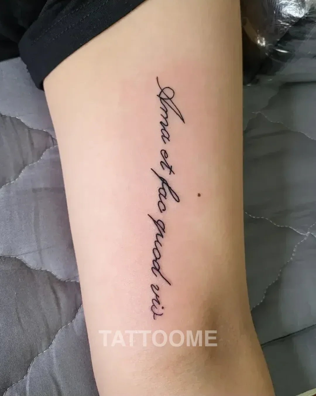 ltattoo_homin 작업물 12