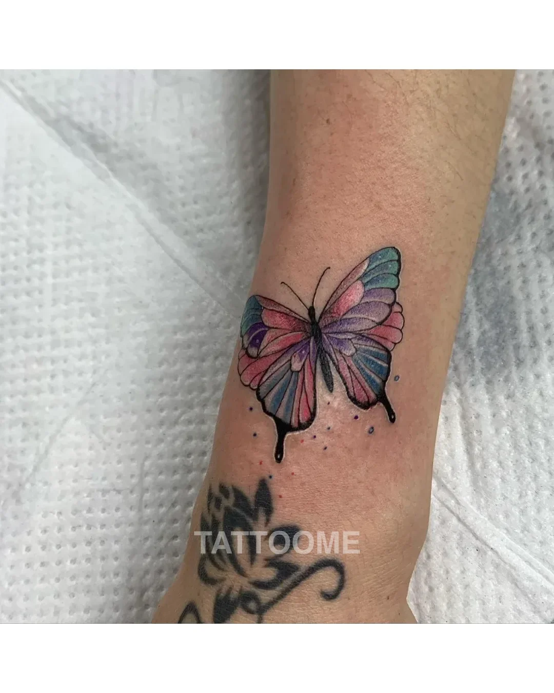 뉴스쿨 나비 - cats_ink_tattoo 8