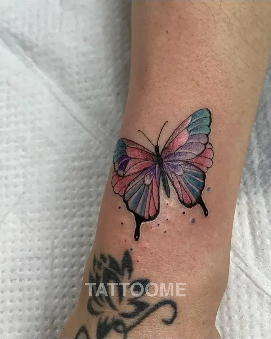 cats_ink_tattoo 작업물 8